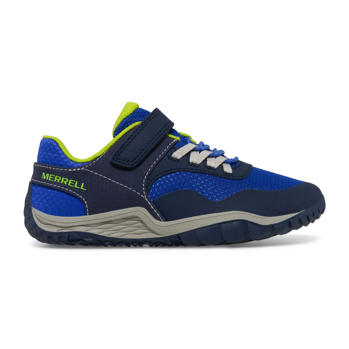 Blue/Lime
